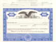 8 1/2 X 11, Blue, With Par Value, Eagle Vignette Stock Certificate