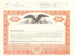 8 1/2 X 11, Orange, Limited Liability Certificate