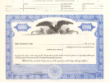 8 1/2 X 11, Blue, Without Par Value, Eagle Vignette Stock Certificate
