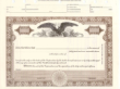 8 1/2 X 11, Brown Stock Certificate,  Without Par Value, Eagle Vignette