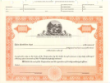 TONS -  8 1/2 x 11, Orange, Without Par Value, Ohio Seal Stock Certificate